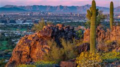 Denver - Phoenix (with return) from $14