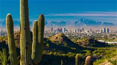 Denver - Phoenix (with return) from $107