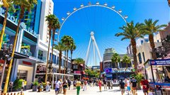 Chicago - Las Vegas (with return) from $203