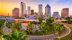 Chicago - Tampa (with return) from $76