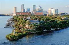 Detroit - Tampa (with return) from $239