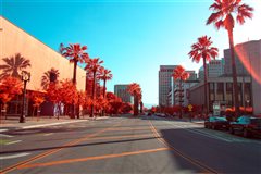 Cleveland - San Jose (with return) from $370,51