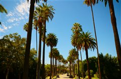 Houston - Los Angeles (with return) from $225