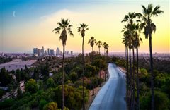 Dallas - Los Angeles (with return) from $205