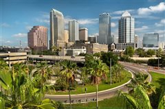 Detroit - Tampa (with return) from $101