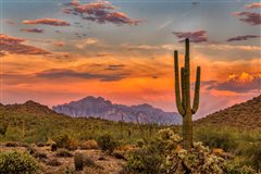 Denver - Phoenix (with return) from $185