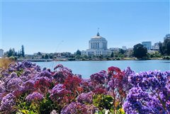 Seattle-Tacoma - Oakland (with return) from $174,76