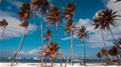 Orlando - Punta Cana (with return) from $214,35