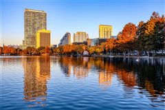 Detroit - Orlando (with return) from $225