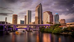 Chicago - Tampa (with return) from $259