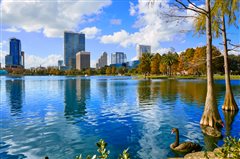 Detroit - Orlando (with return) from $145