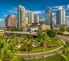 Detroit - Tampa (with return) from $169