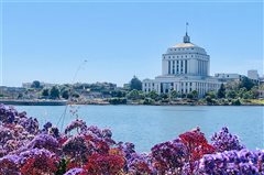 Louisville - Oakland (with return) from $387,16