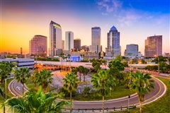 Detroit - Tampa (with return) from $231