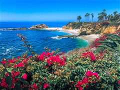 Portland - Orange County (with return) from $209