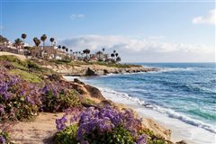 Las Vegas - San Diego (with return) from $121.28