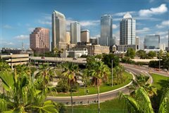Dallas - Tampa (with return) from $141