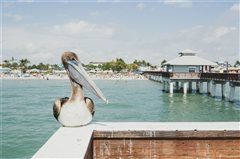 Hartford - Fort Myers (with return) from $77,18