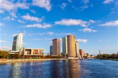 Detroit - Tampa (with return) from $167